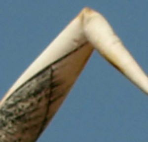 k_4248326